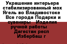 Украшение интерьера стабилизированный мох Ягель во Владивостоке - Все города Подарки и сувениры » Изделия ручной работы   . Дагестан респ.,Избербаш г.